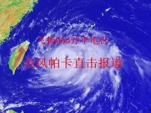 台风最新爆料视频,狂风暴雨肆虐，多地紧急应对